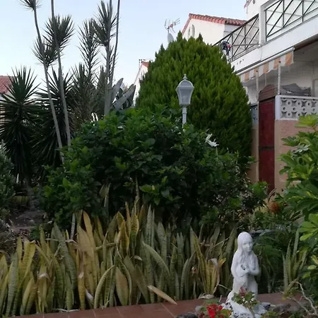 Апартаменты Tenerife Altamar Paradise