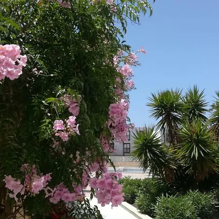 Tenerife Altamar Paradise Playa de las Américas